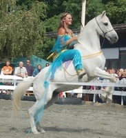Notre passion, notre folie